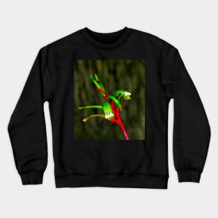 Kangaroo Paw Crewneck Sweatshirt